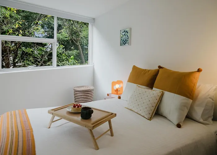 The Light Loft Bright In Condesa *